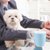 The Best Dog-Friendly Companies of 2023 - thumbnail