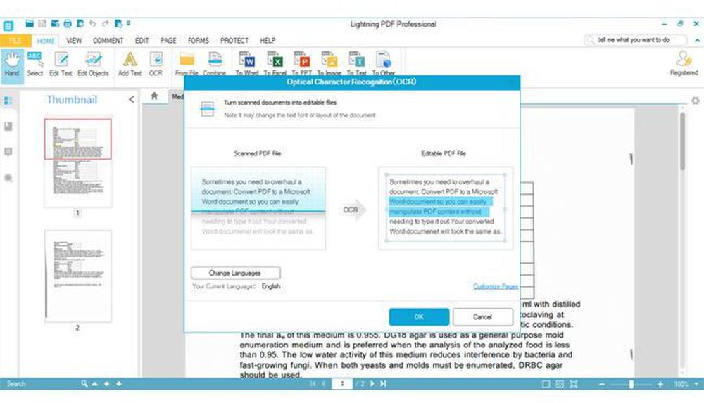 Lightning Pdf Professional usablogging