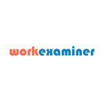 Work Examiner